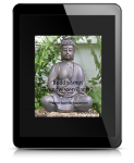 Buddhismus Grundwissen Band 2: Frieden kommt von innen